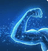 Power-Up
